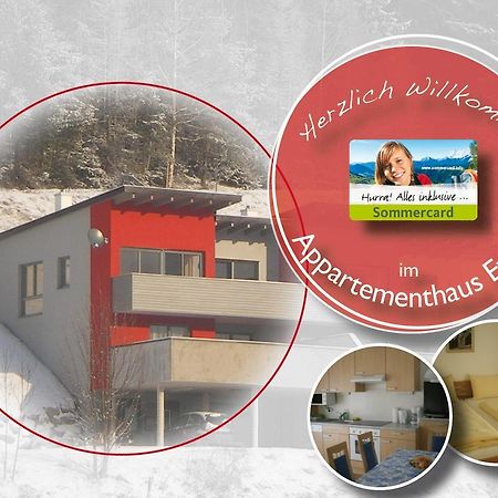 שלאדמינג Appartementhaus Evelyn מראה חיצוני תמונה